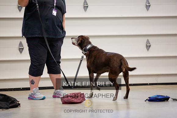 2022-KathleenRileyPhotography-7465