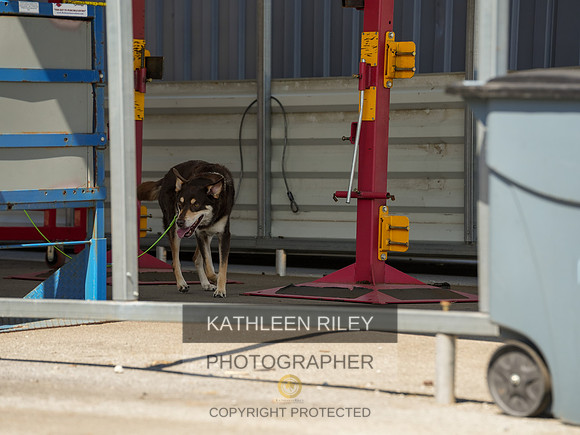 2022-KathleenRileyPhotography-04241