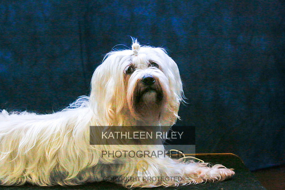 2022-KathleenRileyPhotography-9423