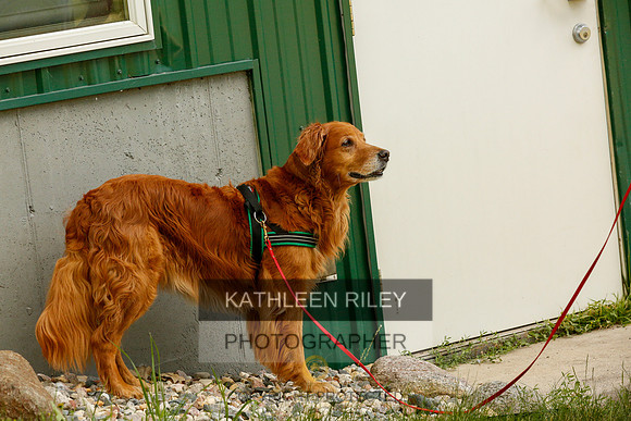 2022-KathleenRileyPhotography-0341