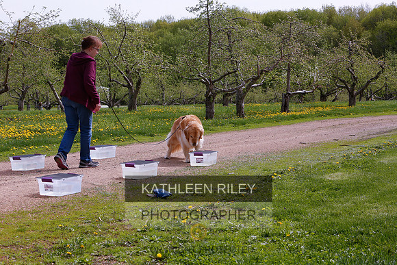 2022-KathleenRileyPhotography-8748