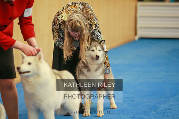 2022-KathleenRileyPhotography-5349