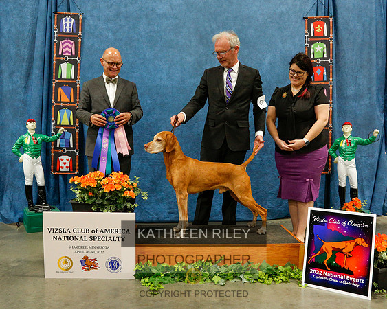 2022-KathleenRileyPhotography-6449