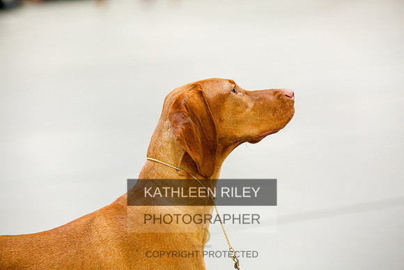 2022-KathleenRileyPhotography-9643