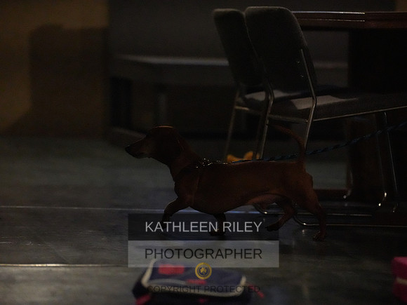 2022-KathleenRileyPhotography146