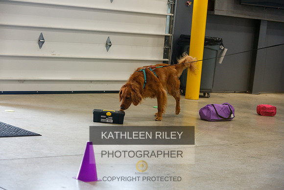 2022-KathleenRileyPhotography-4940
