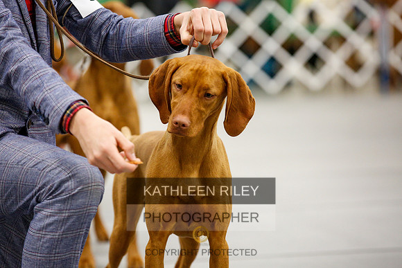 2022-KathleenRileyPhotography-2002