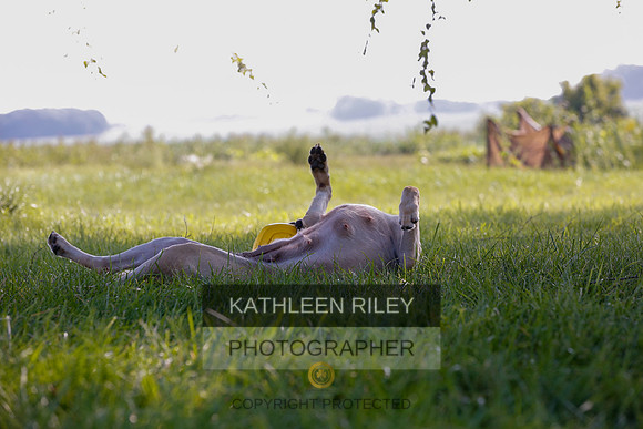 2022-KathleenRileyPhotography-7947