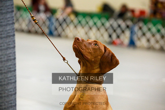 2022-KathleenRileyPhotography-8713