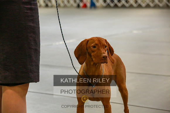 2022-KathleenRileyPhotography-8769