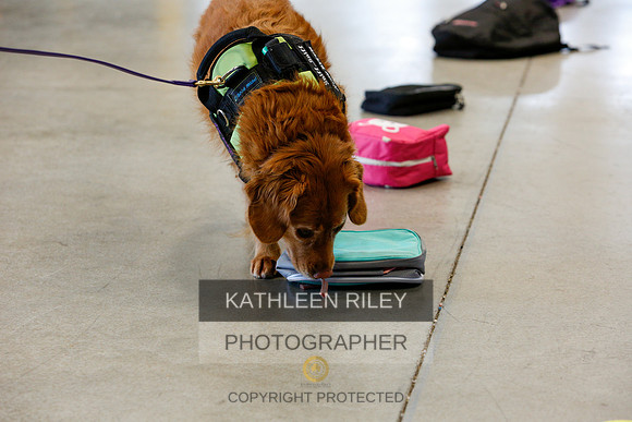 2022-KathleenRileyPhotography-5098