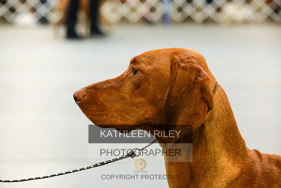 2022-KathleenRileyPhotography-8865