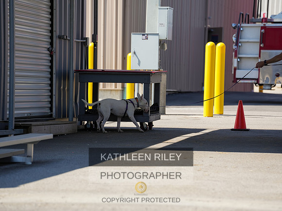 2022-KathleenRileyPhotography-04206