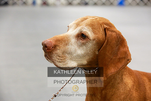 2022-KathleenRileyPhotography-8056