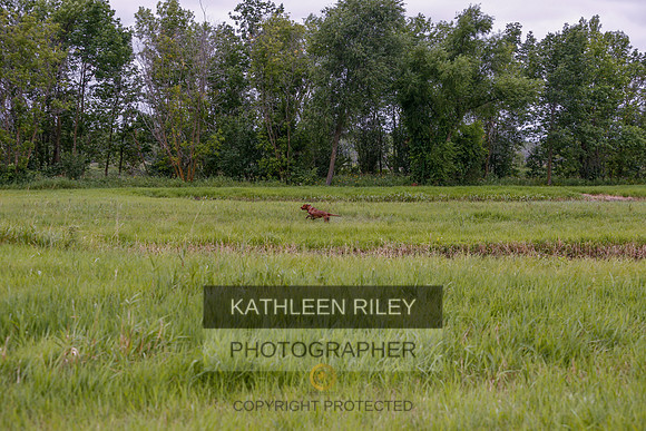 2022-KathleenRileyPhotography-3406