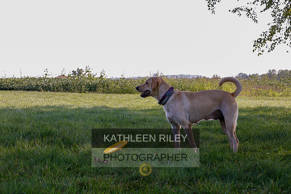 2022-KathleenRileyPhotography-7901