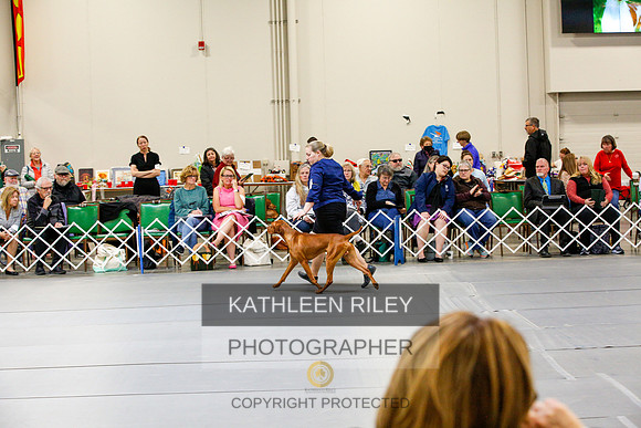 2022-KathleenRileyPhotography-0954