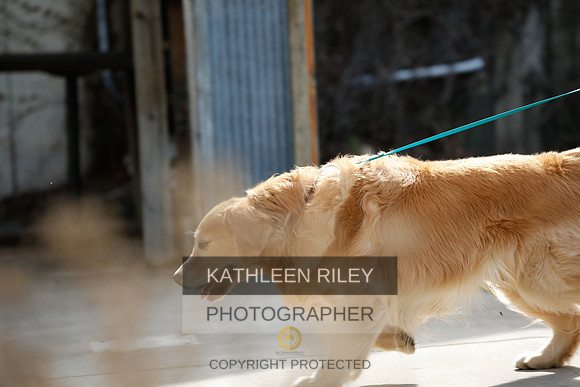 2022-KathleenRileyPhotography-2701