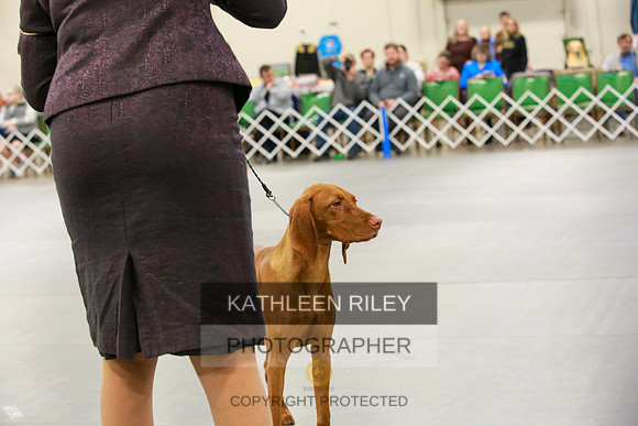 2022-KathleenRileyPhotography-8528