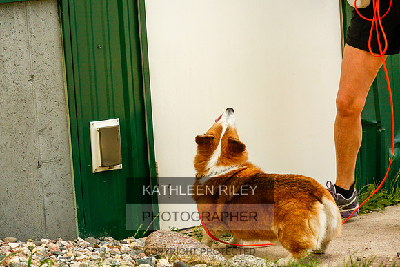 2022-KathleenRileyPhotography-0359