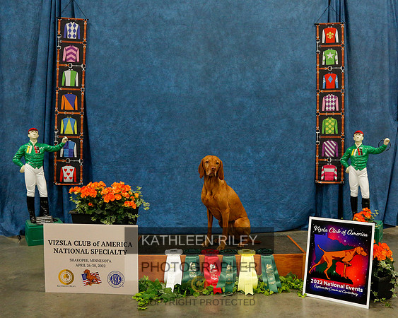 2022-KathleenRileyPhotography-6139