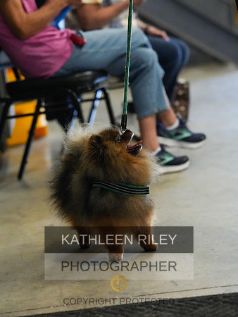 2022-KathleenRileyPhotography-03827