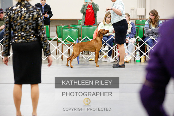 2022-KathleenRileyPhotography-2422