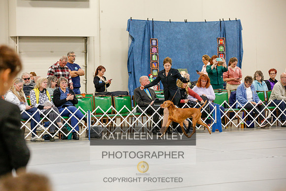 2022-KathleenRileyPhotography-1016