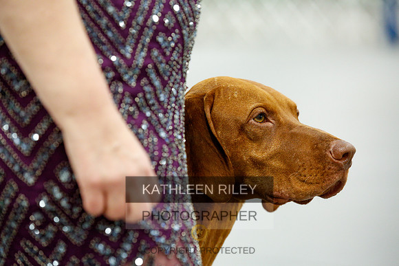 2022-KathleenRileyPhotography-0113