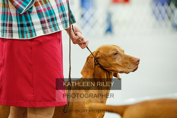 2022-KathleenRileyPhotography-0115
