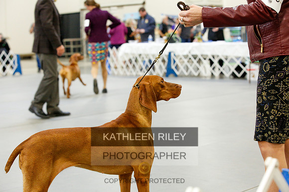 2022-KathleenRileyPhotography-9810