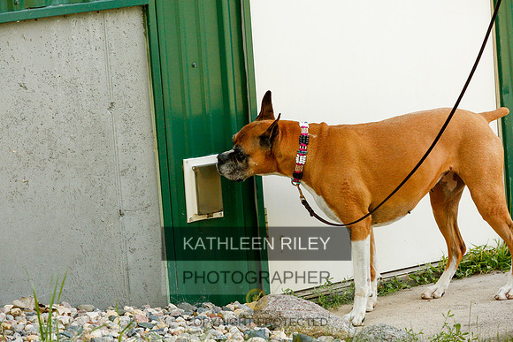 2022-KathleenRileyPhotography-0328