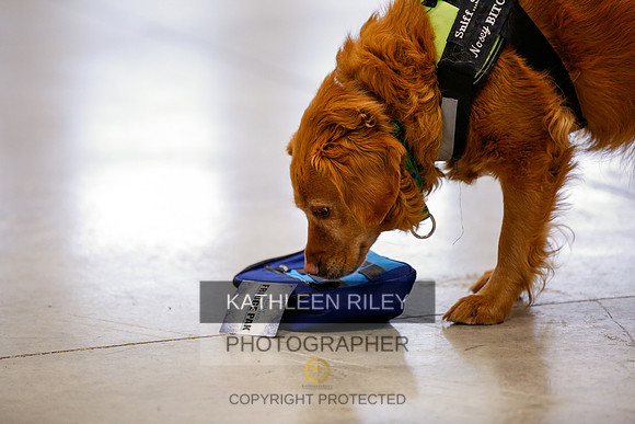 2022-KathleenRileyPhotography-7366
