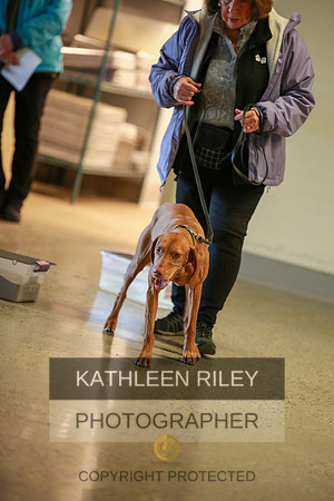 2022-KathleenRileyPhotography-7425