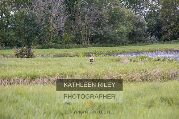 2022-KathleenRileyPhotography-3128