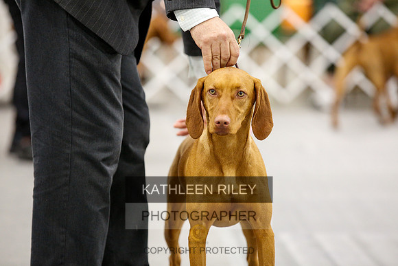 2022-KathleenRileyPhotography-1759
