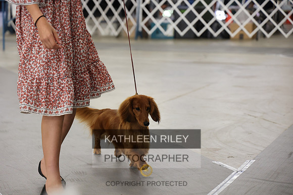 WGMC4242