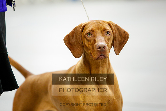 2022-KathleenRileyPhotography-9709