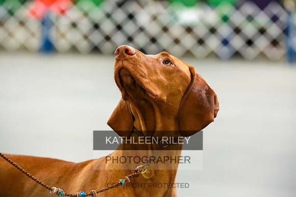 2022-KathleenRileyPhotography-8860