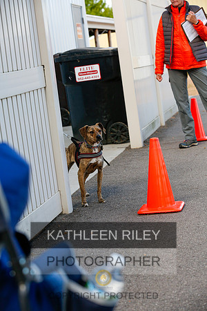 2022-KathleenRileyPhotography-4005