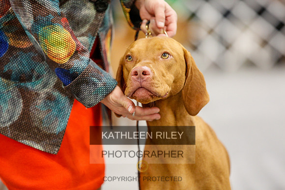2022-KathleenRileyPhotography-1564