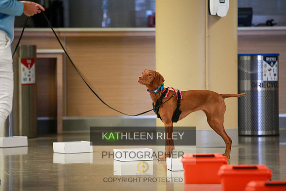 2022-KathleenRileyPhotography-7690