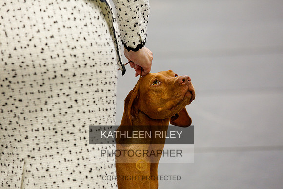 2022-KathleenRileyPhotography-1358
