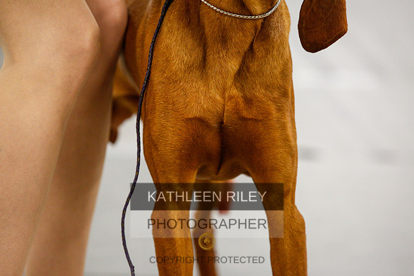 2022-KathleenRileyPhotography-1569