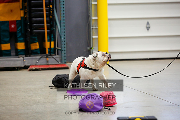 2022-KathleenRileyPhotography-6961