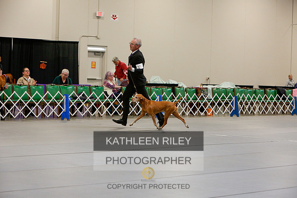2022-KathleenRileyPhotography-3142