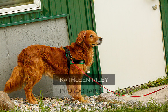 2022-KathleenRileyPhotography-0340