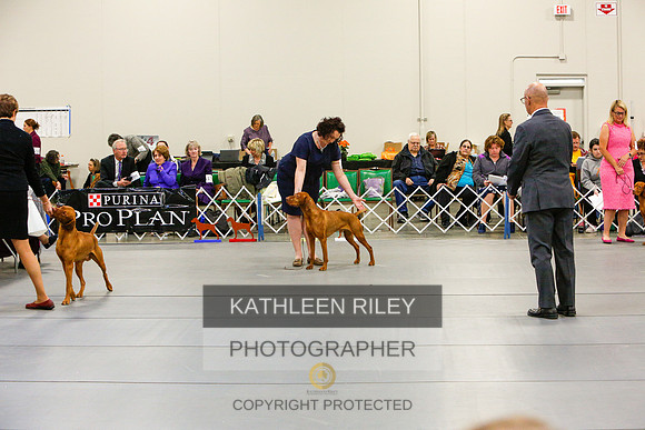 2022-KathleenRileyPhotography-5821