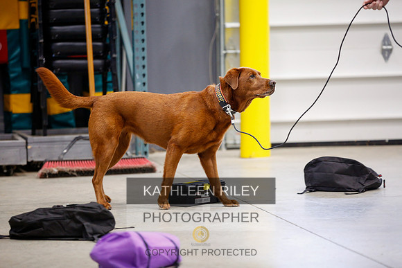 2022-KathleenRileyPhotography-7488