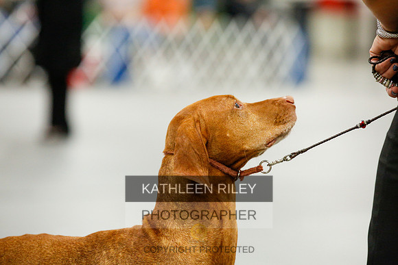 2022-KathleenRileyPhotography-0119